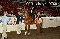 06buckeye_0760 proof
