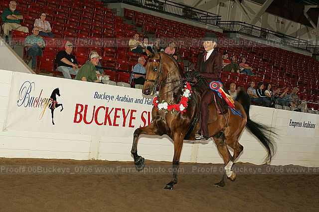 Proof 06buckeye_0766