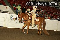 06buckeye_0770 proof