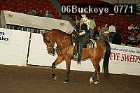06buckeye_0771 proof