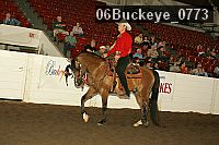 06buckeye_0773 proof