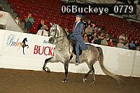 06buckeye_0779 proof