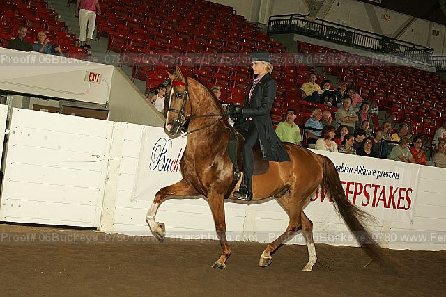 Proof 06buckeye_0780