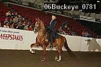 06buckeye_0781 proof