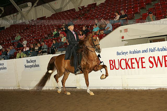 Proof 06buckeye_0784