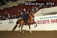 06buckeye_0784 proof