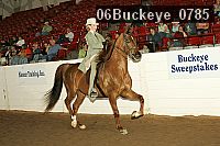 06buckeye_0785 proof