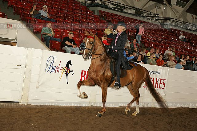 Proof 06buckeye_0787