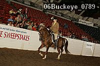 06buckeye_0789 proof