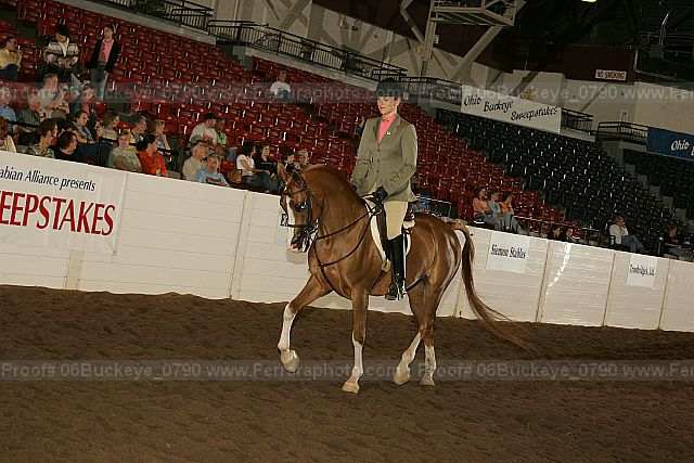 Proof 06buckeye_0790