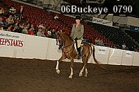06buckeye_0790 proof