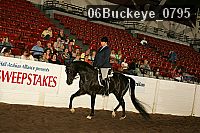 06buckeye_0795 proof