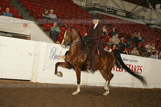 Proof 06buckeye_0798