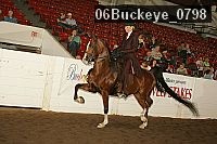 06buckeye_0798 proof