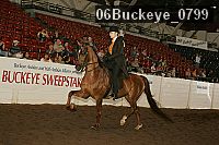 06buckeye_0799 proof