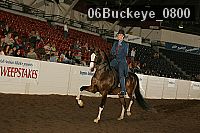 06buckeye_0800 proof