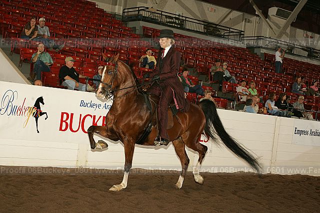 Proof 06buckeye_0801