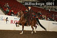 06buckeye_0801 proof