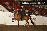 06buckeye_0802 proof