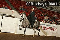 06buckeye_0803 proof