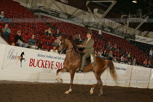 Proof 06buckeye_0804