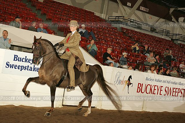 Proof 06buckeye_0806