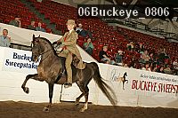 06buckeye_0806 proof