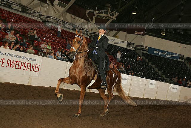 Proof 06buckeye_0807