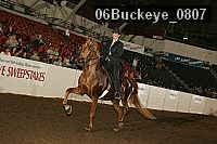 06buckeye_0807 proof
