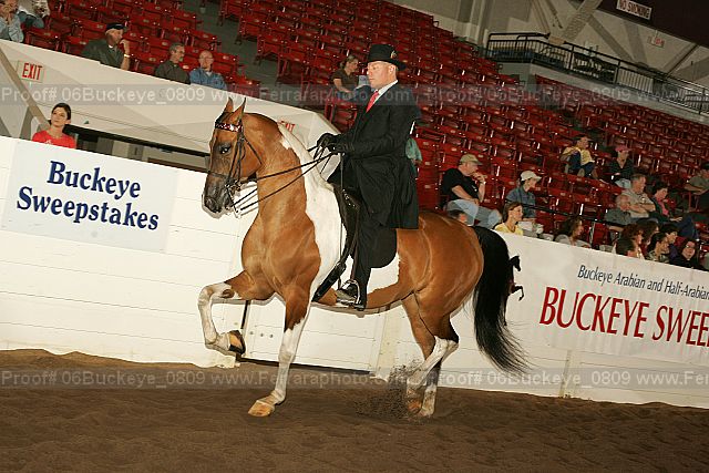 Proof 06buckeye_0809