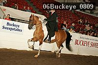 06buckeye_0809 proof