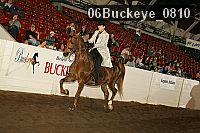 06buckeye_0810 proof