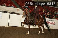 06buckeye_0812 proof