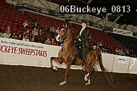 06buckeye_0813 proof