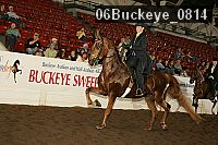 06buckeye_0814 proof