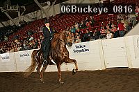 06buckeye_0816 proof