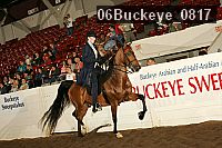 06buckeye_0817 proof