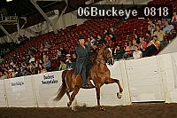 06buckeye_0818 proof