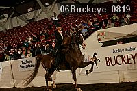 06buckeye_0819 proof