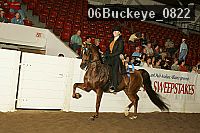 06buckeye_0822 proof