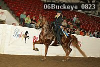 06buckeye_0823 proof