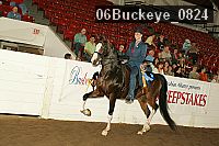 06buckeye_0824 proof