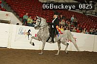 06buckeye_0825 proof