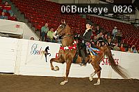 06buckeye_0826 proof