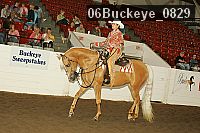 06buckeye_0829 proof