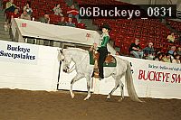 06buckeye_0831 proof
