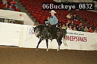 06buckeye_0832 proof