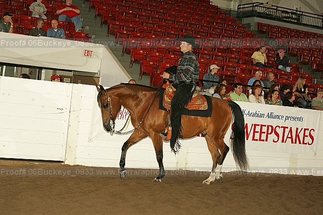 Proof 06buckeye_0833