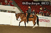06buckeye_0833 proof