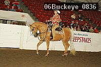 06buckeye_0836 proof